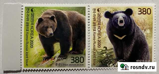 2020 Совместный выпуск Корея-Россия Медведи Саратов - изображение 1