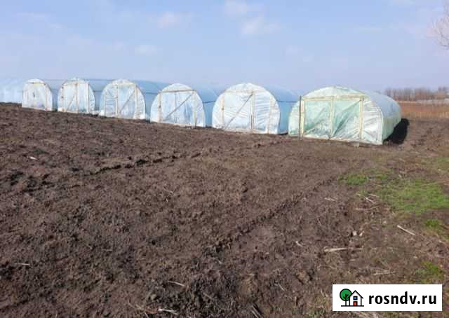 Балаганы Кирпильская - изображение 1