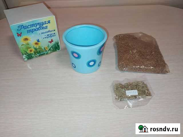 Растущая травка Мыски - изображение 1