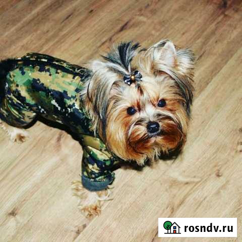 Вязка Хабаровск - изображение 1