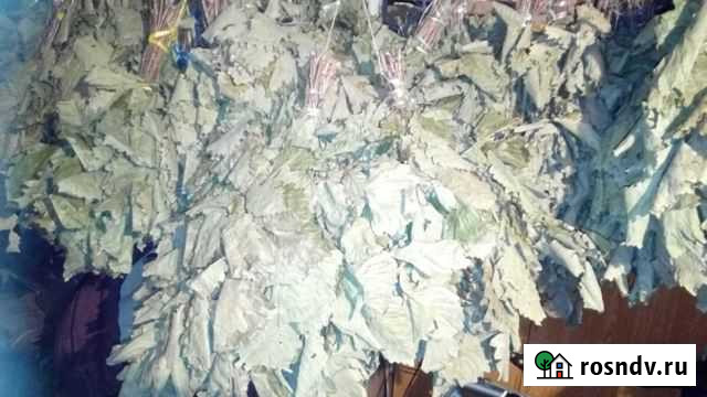 Веники для бани дубовые Томск - изображение 1