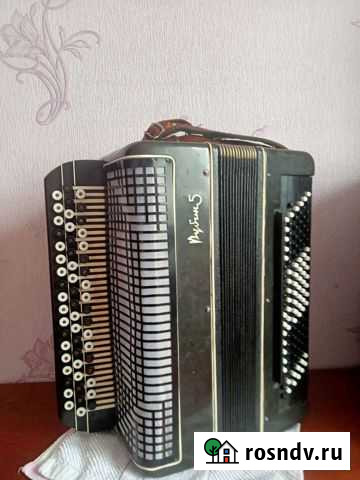 Баян Рубин 5 Алейск - изображение 1