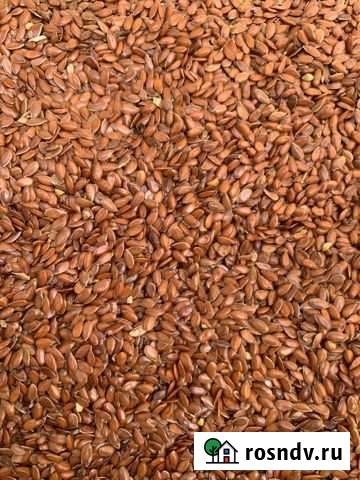 Лён Калининская - изображение 1