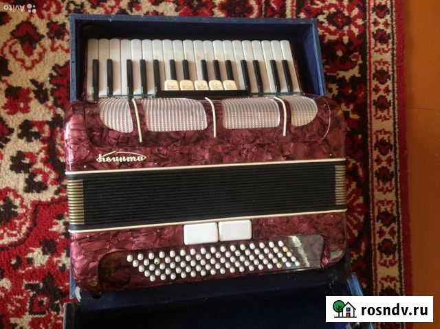 Аккордеон Квинта Муром - изображение 1
