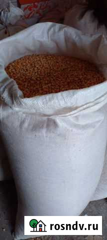 Доставка зерна(кукуруза) Шацк - изображение 1