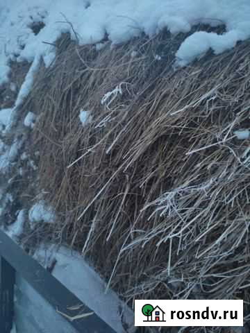 Сено луговое Милославское - изображение 1