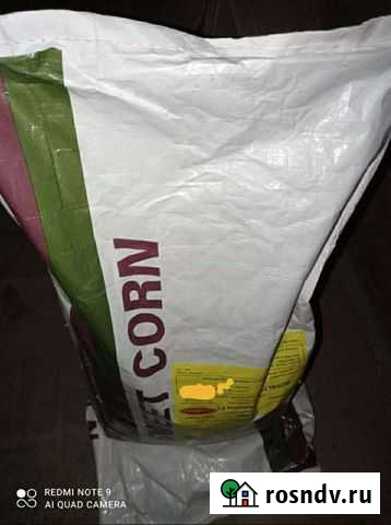 Кукуруза Ройалти F1 Белгород - изображение 1