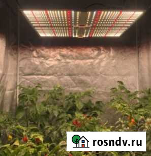 Фитолампа quantum board полный спектр 246 вт Тымовское - изображение 1