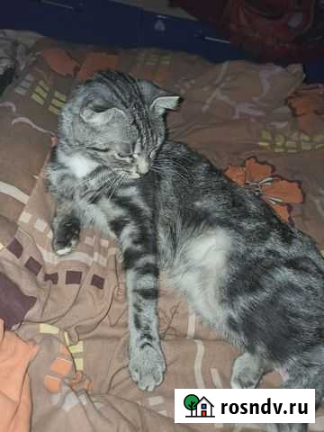 Вязка Казань - изображение 1