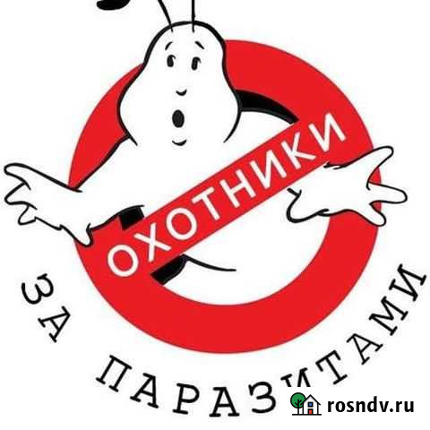 Дезинфекция, дезинсекция, дератизация Нижний Тагил - изображение 1