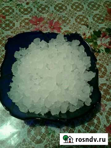 Морской индийский рис Томск - изображение 1