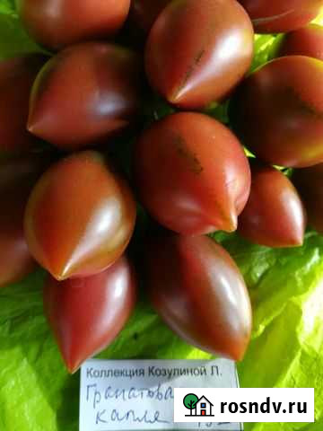 Семена коллекционных томатов Черри Рязань - изображение 1