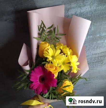 Цветы хризантемы Белгород - изображение 1