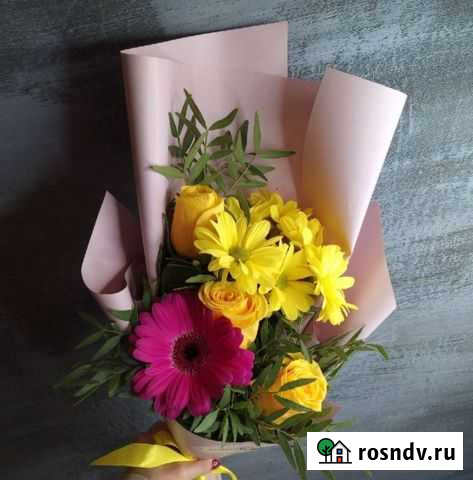 Цветы хризантемы Белгород - изображение 1