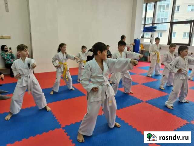 Тренировки, занятия по тхэквондо Выборг - изображение 1