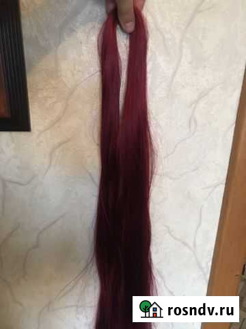 Канекалон Гатчина - изображение 1