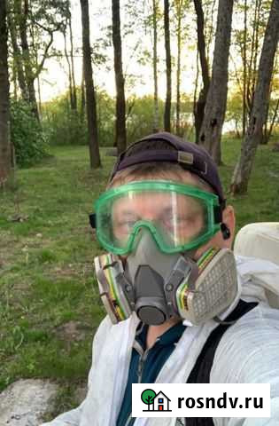 Уничтожение тараканов, муравьев, клопов в Кирове Киров - изображение 1