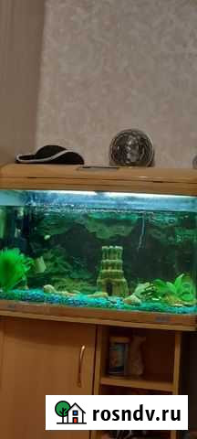 Аквариум с тумбой бу Среднеуральск - изображение 1