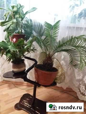 Подставка для цветов Липецк - изображение 1