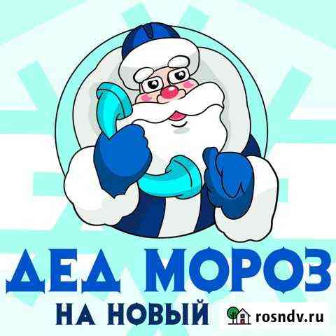 Дед Мороз и Снегурочка Задонск