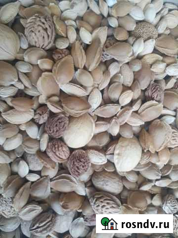 Микс косточек плодовых деревьев Тольятти - изображение 1