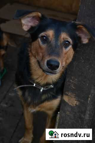 Яся Уфа - изображение 1