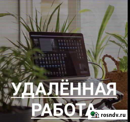 SMM - менеджер Норильск - изображение 1