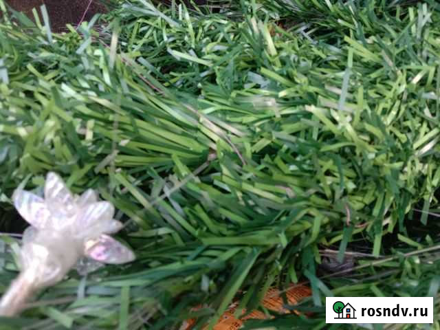 Елка искусственная1м80 Улан-Удэ - изображение 1