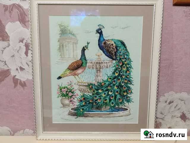 Павлин Чебоксары - изображение 1