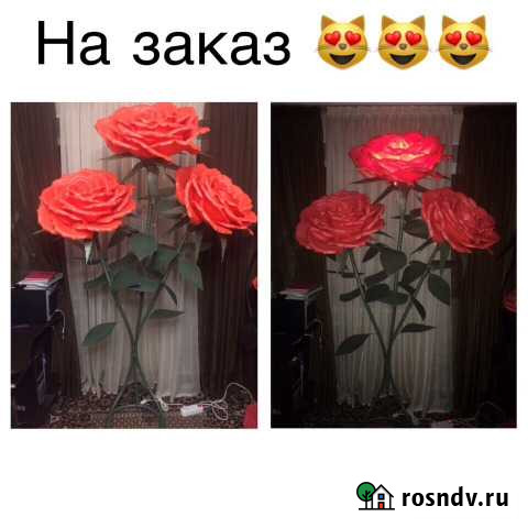 Ростовые розы на заказ Губкин - изображение 1