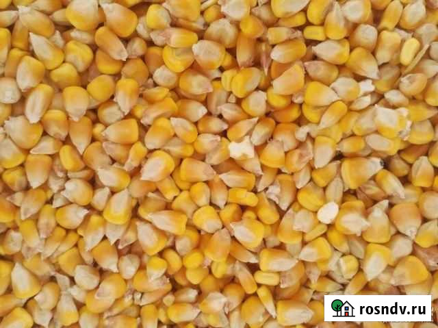 Кукуруза в мешках с доставкой на дом Гулькевичи - изображение 1
