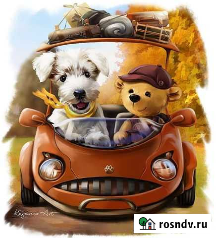 Зоотакси Новомосковск - изображение 1