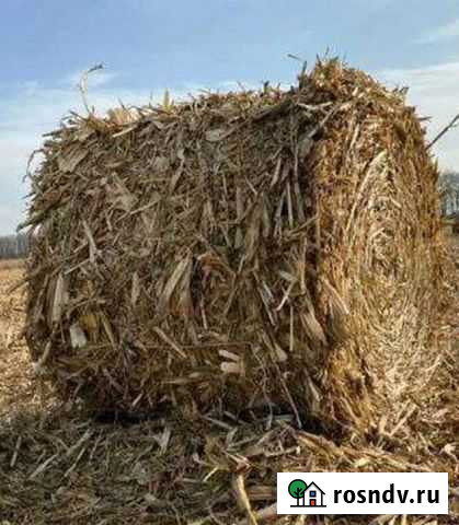Кукурузное сено Черкесск - изображение 1