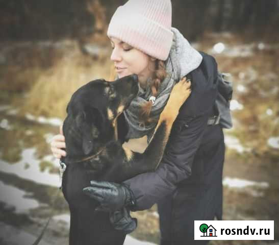 Кинолог на передержку Бронницы - изображение 1