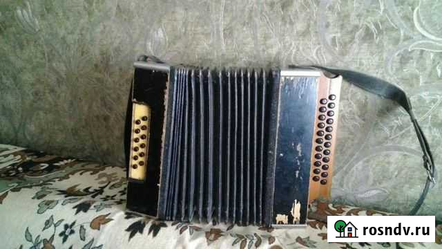 Гармонь Саратов - изображение 1