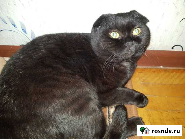 Вязка Ижевск - изображение 1