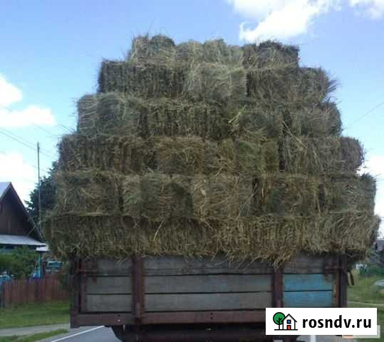 Сено Ровеньки - изображение 1