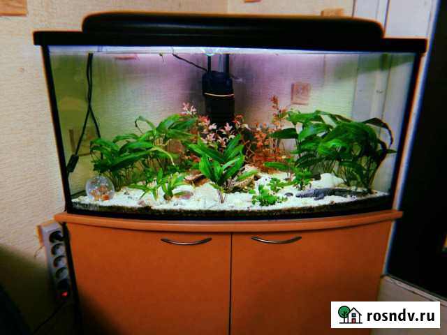 Аквариум угловой Калининград - изображение 1