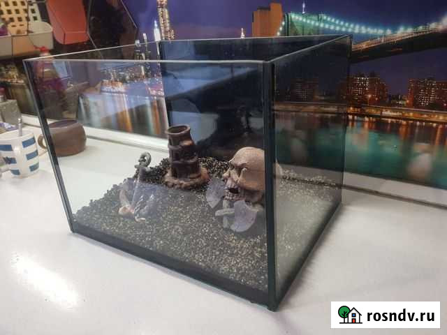 Аквариум 36 литров Щёлково - изображение 1