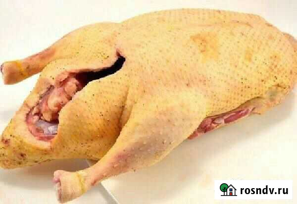 Мясо домашняя утка Евпатория - изображение 1