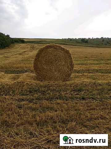 Солома Валуйки - изображение 1