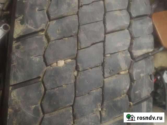 КАМА 295/80 R22.5 Хохряки - изображение 1