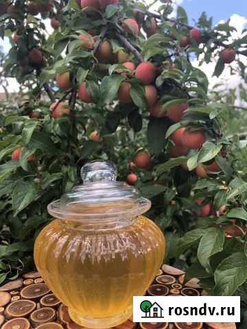 Мед луговые травы Елец - изображение 1