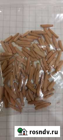 Семена Адениума Брянск - изображение 1