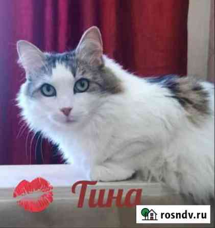 Тина с магическим взглядом Псков