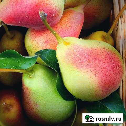 Разнорабочий Вахта Москва Горно-Алтайск - изображение 1