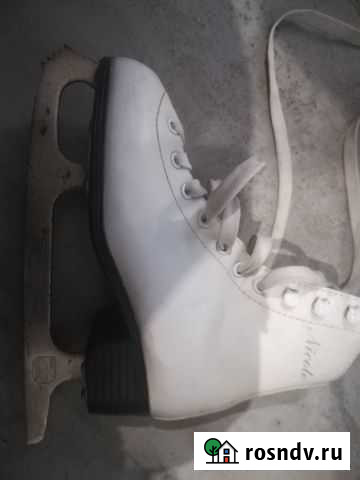 Коньки Белгород - изображение 1