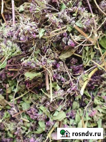 Трава Душица Бугульма - изображение 1