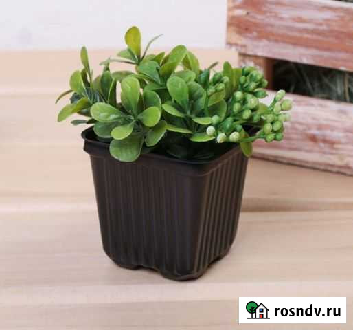 Горшки под рассаду Набережные Челны - изображение 1