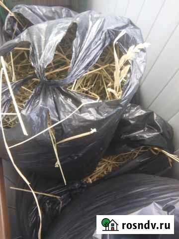 Сено разнотравье Сергиев Посад - изображение 1